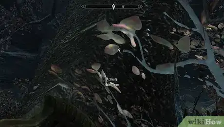 Image titled Retrieve Eldergleam Sap in Skyrim Step 7