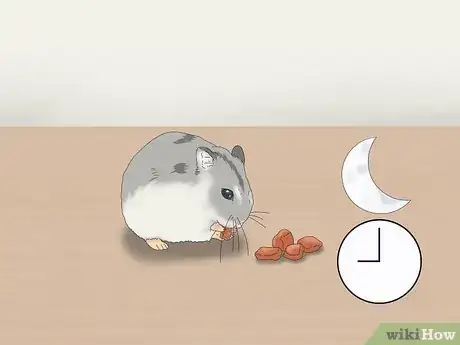 Image titled Feed Dwarf Hamsters Step 9