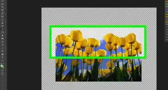 Add Transparency in Photoshop