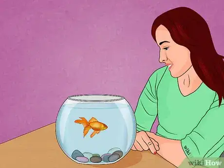 Image titled Fix Swim Bladder Disease in Goldfish Step 9
