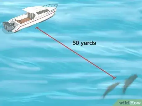 Image titled Why Do Dolphins Follow Boats Step 9