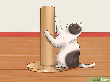 Image titled Teach Your Kitten to Be Calm and Relaxed Step 11