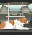 Build a Dog Barrier for Your Vehicle