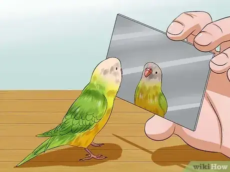 Image titled Play With Your Budgie Step 7