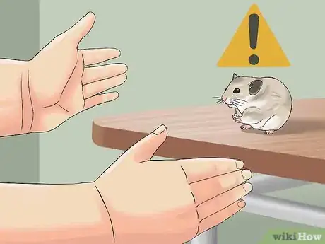 Image titled Have Fun With Your Hamster Step 7