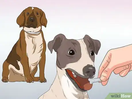 Image titled Train Your Dog from Running out of Your House Step 6