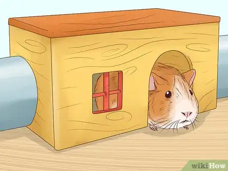 Image titled Tame Your Guinea Pig Step 10