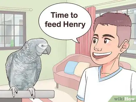 Image titled Encourage an African Grey Parrot to Speak Step 1