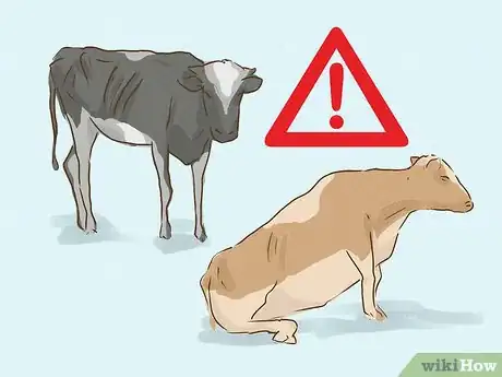 Image titled Avoid Mad Cow Disease Step 4