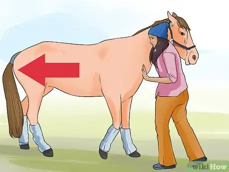 Image titled Discipline a Horse Without Using Aggression Step 5