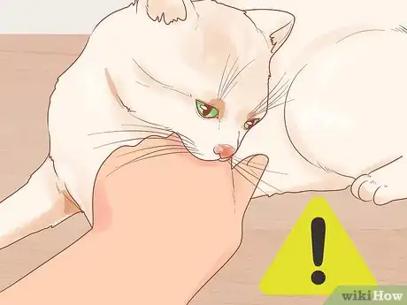 Image titled Stop a Cat from Biting or Scratching During Play Step 2