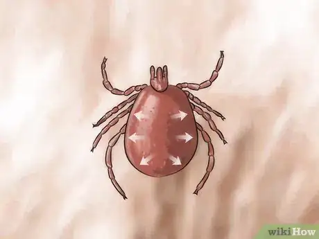 Image titled Check Your Dog for Ticks Step 3