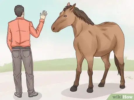Image titled Talk to Your Horse Step 3