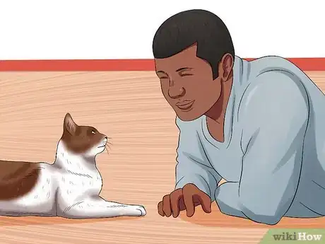 Image titled Plan and Prepare for Your New Cat Step 20