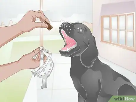 Image titled Apply a Gauze Muzzle to a Dog Step 5