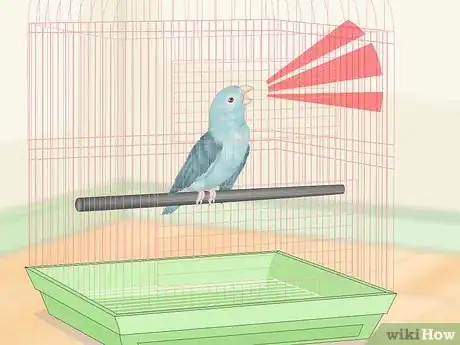 Image titled Spot Signs of Illness in Parrotlets Step 9