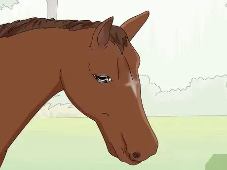 Image titled Teach Your Horse to Stop Biting Step 7