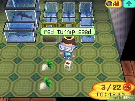 Image titled Make a Lot of Bells (Money) in Animal Crossing_ Wild World Step 38