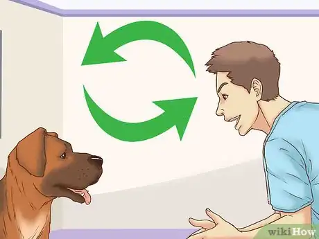 Image titled Get Your Dog's Attention Step 5