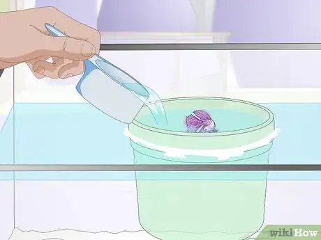 Image titled Acclimate Your Betta Step 10