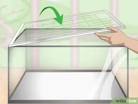 Image titled Use an Aquarium As a Mouse Cage Step 4