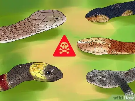 Image titled Treat a Snake Bite Step 18