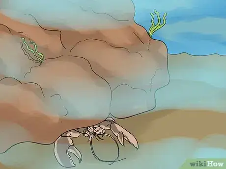Image titled Safely Free Dive for Lobster Step 1