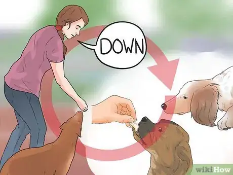 Image titled Teach a Dog to Crawl Step 8