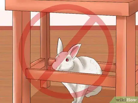 Image titled Care for Florida White Rabbits Step 13
