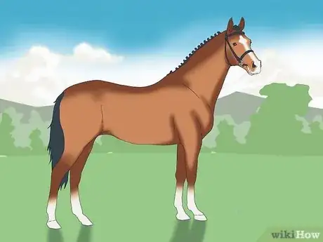 Image titled Choose the Right Breed of Horse for You Step 10