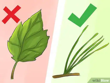 Image titled Identify Pine Trees Step 1