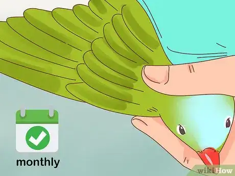 Image titled Clip a Parrot's Wings Step 14