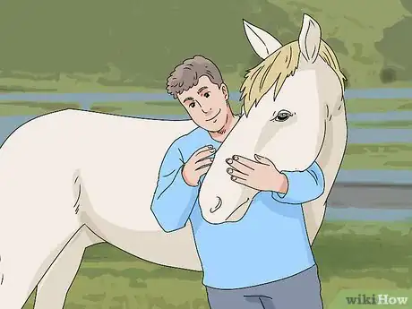 Image titled Start a Horse Under Saddle Step 3