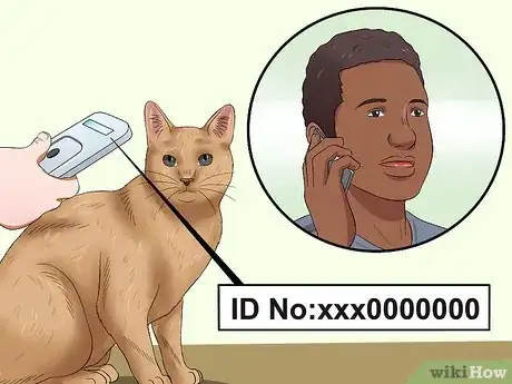 Image titled Microchip Your Cat Step 12