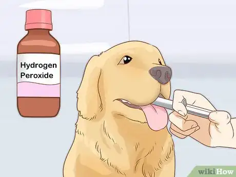 Image titled Treat a Dog Who Ate Chocolate Step 5