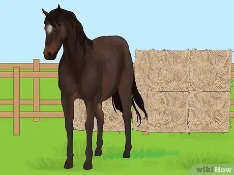 Image titled Distinguish Horse Color by Name Step 3