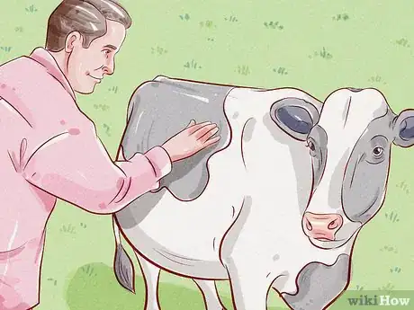 Image titled Treat and Prevent Bloat in Cattle Step 3