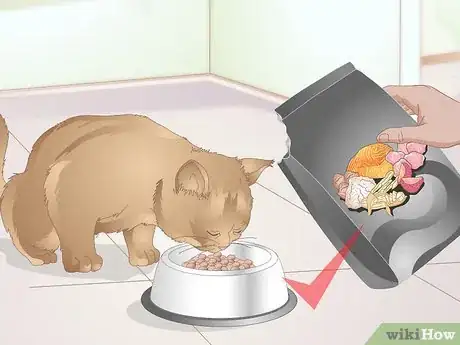 Image titled Get Your Cat to Stop Knocking Things Over Step 4