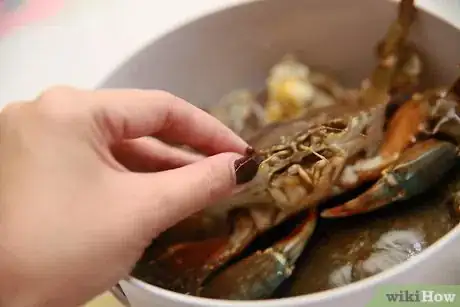 Image titled Cook Mud Crab Step 8