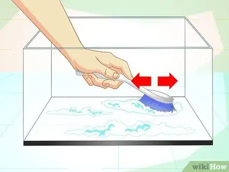 Image titled Take Care of a Chinese Water Dragon Step 11