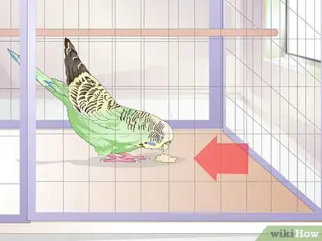 Image titled Tell when a Parakeet Is Sick Step 11