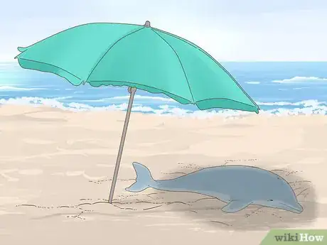 Image titled Save a Stranded Dolphin Step 14