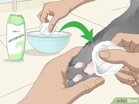 Image titled Clean Your Cat's Feet Step 3