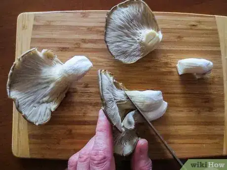 Image titled Prepare Oyster Mushrooms Step 14