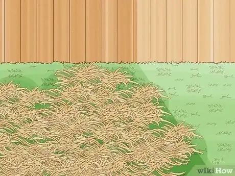Image titled Grass for Shaded Areas Step 15