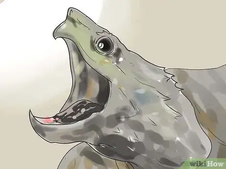 Image titled Pet a Turtle Step 13