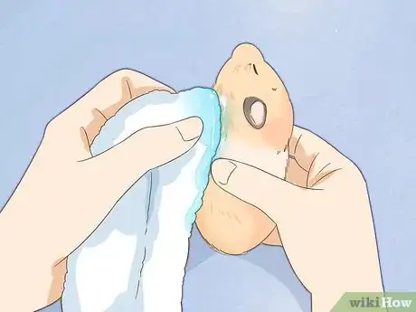 Image titled Give Your Hamster a Bath Step 7
