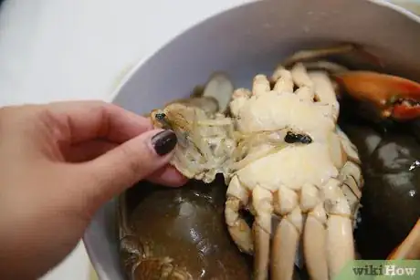 Image titled Cook Mud Crab Step 6