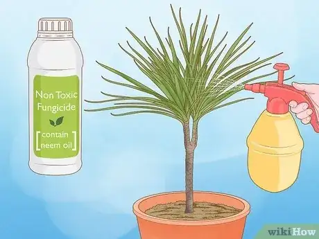 Image titled Why Does Your Plant Have White Spots Step 9