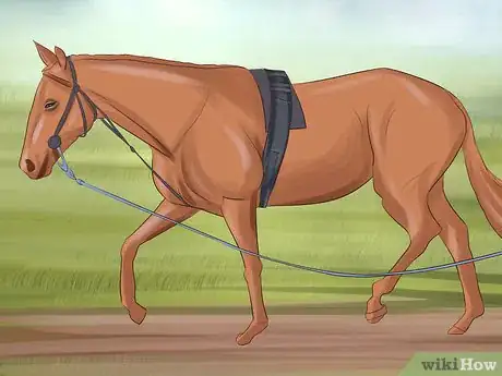 Image titled Tame Your Horse or Pony Step 10